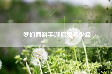 梦幻西游手游抓鬼多少级