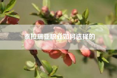 泰拉瑞亚职业如何选择的