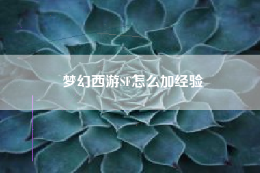 梦幻西游SF怎么加经验