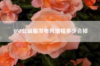 DNF公益服发布网增幅多少会掉