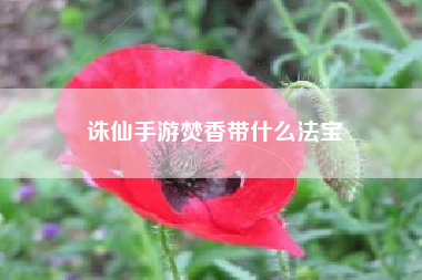 诛仙手游焚香带什么法宝