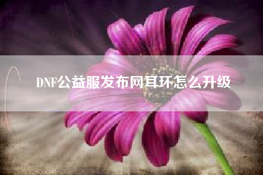 DNF公益服发布网耳环怎么升级