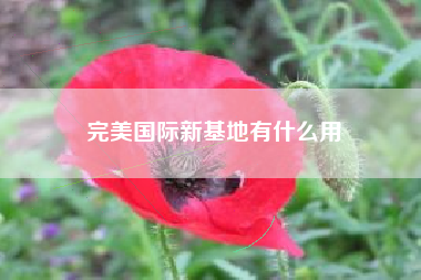 完美国际新基地有什么用