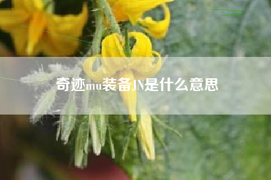 奇迹mu装备JN是什么意思