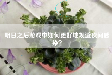 明日之后游戏中如何更好地规避夜间感染？