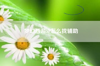 梦幻西游SF怎么找辅助