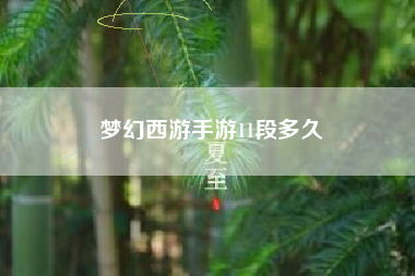 梦幻西游手游11段多久