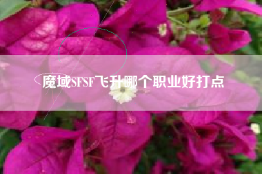 魔域SFSF飞升哪个职业好打点