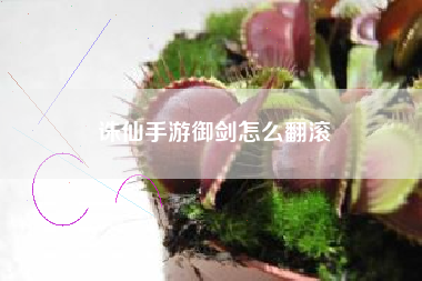 诛仙手游御剑怎么翻滚