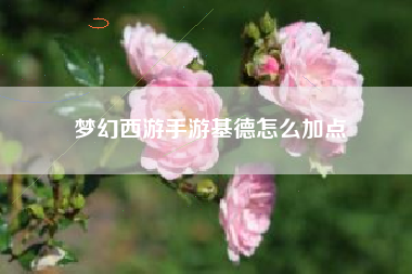 梦幻西游手游基德怎么加点