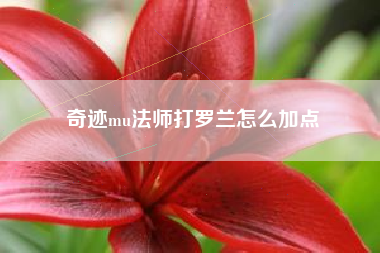 奇迹mu法师打罗兰怎么加点