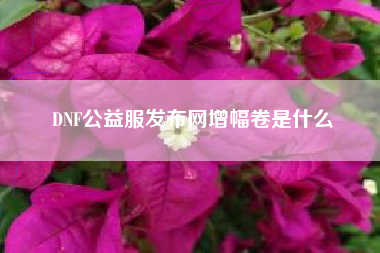 DNF公益服发布网增幅卷是什么