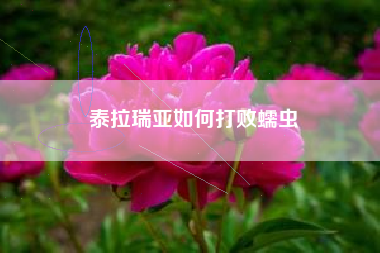 泰拉瑞亚如何打败蠕虫