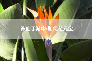 诛仙手游中v如何花元宝