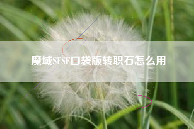 魔域SFSF口袋版转职石怎么用