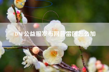 DNF公益服发布网普雷团怎么加