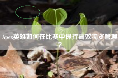 Apex英雄如何在比赛中保持高效物资管理？