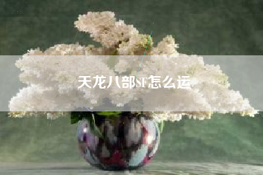 天龙八部SF怎么运