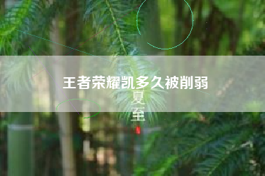 王者荣耀凯多久被削弱