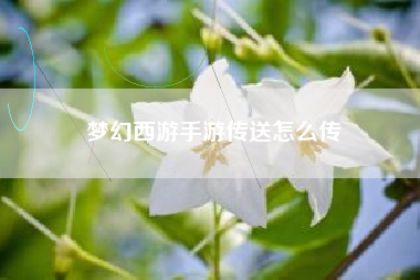 梦幻西游手游传送怎么传