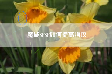 魔域SFSF如何提高物攻