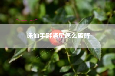 诛仙手游洛星怎么破阵