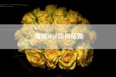 魔域SFSF如何结婚