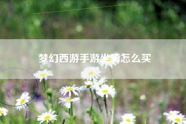 梦幻西游手游坐骑怎么买