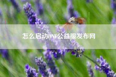 怎么启动DNF公益服发布网