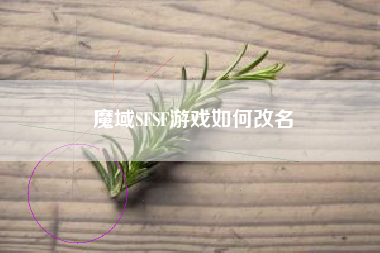 魔域SFSF游戏如何改名