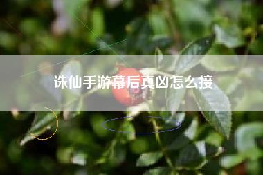 诛仙手游幕后真凶怎么接