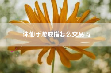 诛仙手游戒指怎么交易吗