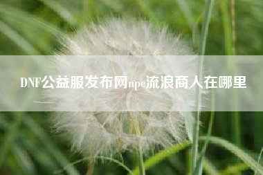 DNF公益服发布网npc流浪商人在哪里