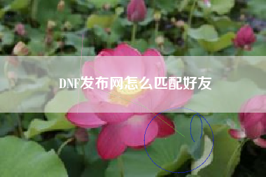 DNF发布网怎么匹配好友