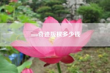 mu奇迹版权多少钱