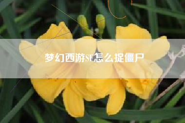 梦幻西游SF怎么捉僵尸