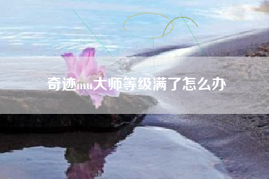 奇迹mu大师等级满了怎么办