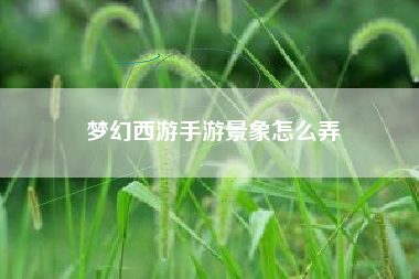 梦幻西游手游景象怎么弄