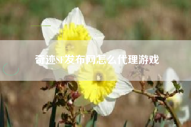 奇迹SF发布网怎么代理游戏