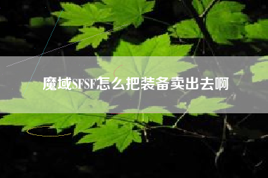 魔域SFSF怎么把装备卖出去啊