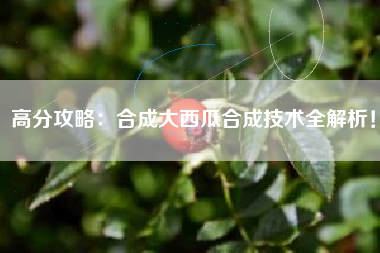 高分攻略：合成大西瓜合成技术全解析！